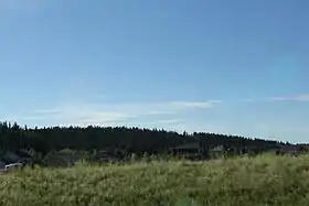 Priddis