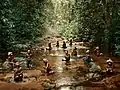 Enfants du parc national, mis en scène dans un ruisseau pour le livre Congo Tales (2018)