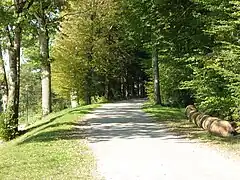 Promenade autour du lac de Rioz.