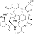Prophalloïne