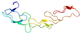 Image illustrative de l’article CD40