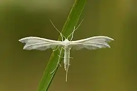 En Estonie.