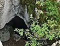  Gouffre entouré de sapins