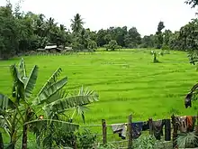 Province de Pouthisat