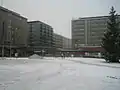 Coin de Puutori.