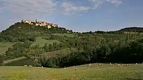 Puycelsi