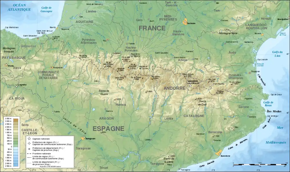 icône décorative
