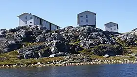 Qernertunnguit