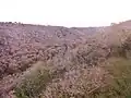 Quimper et Ergué-Gabéric : les gorges du Stangala sur l'Odet, le vallon boisé vu en hiver.