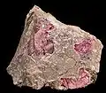 Quincite - Quincy, Cher, France (8&nbsp;×&nbsp;8&nbsp;cm)