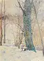 L'arbre dans la neige