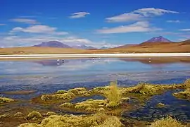 La laguna Cañapa