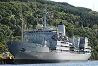 Fort Austin (classe Fort Rosalie)