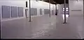 « Roman Opalka - Eté 1998 »