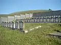 Tombes des victimes du massacre de Sărmașu.
