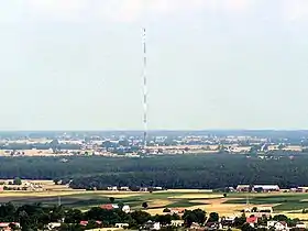 Żółwieniec