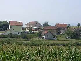 Radevac