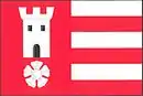Drapeau de Radkovice
