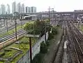 Rails de la gare du Brás.