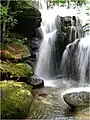 La cascade Rainbow, dans le Dismals Canyon, en Alabama.
