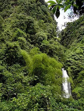 Relief au sud du Morne Macaque ou Micotrin.