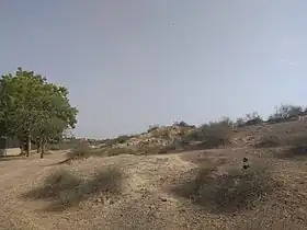 Rakhigarhi