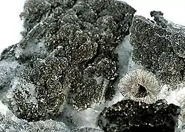 Image illustrative de l’article Rammelsbergite