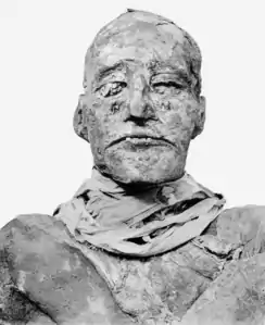 Ramsès III