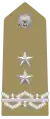 Insigne d'épaulette de général de division