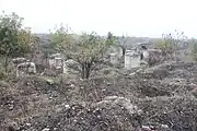 Vue du site archéologique de Ratiaria en 2010.