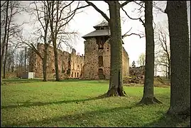 Ruines du château de Rauna.
