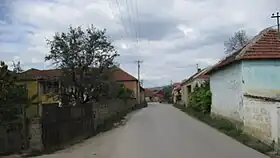 Čifluk Razgojnski