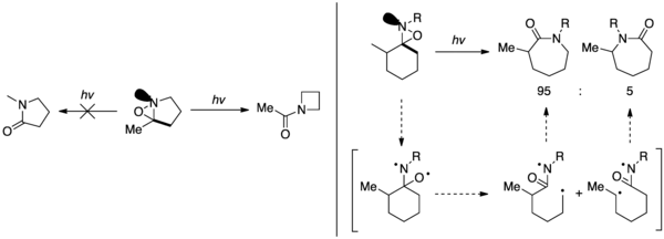 Sélectivité du réarrangement en fonction de l'orientation du doublet non liant de l'azote.