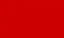 Drapeau de la République socialiste des travailleurs finlandais (29 janvier 1918 – 5 mai 1918)