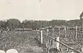 Juillet 1917, remise de décorations.