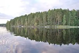 Le lac Repovesi.