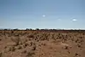 Paysage de la Réserve nationale de Samburu