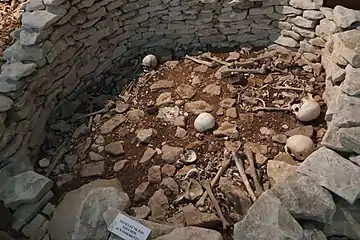 Crâne ayant été trois fois trépané, couloir du tumulus A, niveau supérieur, IVe millénaire.