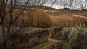 Calicasas