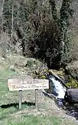 Résurgence de l'étang sur la D132 à 42°&nbsp;47′&nbsp;55″&nbsp;N, 1°&nbsp;19′&nbsp;43″&nbsp;E