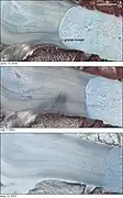Évolution du retrait glaciaire de l'Helheim entre 2001 et 2005.