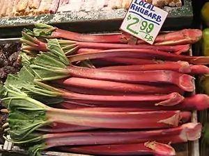 Le pétiole de la rhubarbe peut atteindre 80&nbsp;cm.