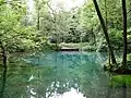 Source de la Rhume.