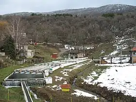 Gornji Dušnik