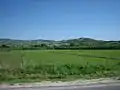 Rizière de la vallée de Kočani.
