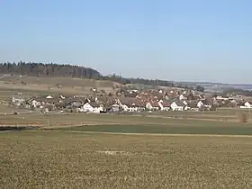 Rickenbach (Zurich)