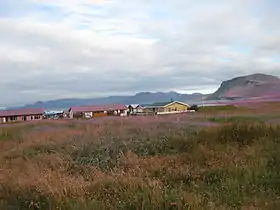 Rif (Islande)