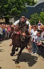 Feistritz an der Gail, 2010