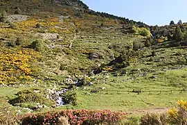 Riu del Manegor.