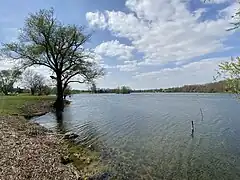Rives.